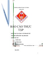 Báo cáo thực tập   cty CP đất sắt 
