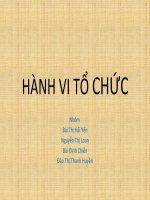 Thuyết trình môn hành vi tổ chức văn hóa tổ chức FPT 