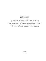 QUẢN LÝ RỦI RO CHO CÁC ĐƠN VỊ PHÁT ĐIỆN TRONG THỊ TRƯỜNG ĐIỆN VỚI CƠ CHẾ HỢP ĐỒNG TƯƠNG LAI