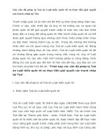 Các vấn đề pháp lý tòa án luật biển quốc tế và thực tiễn giải quyết các tranh chấp tại tòa