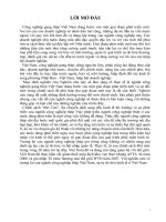 Đề tài   tìm HIỂU NGÀNH CÔNG NGHIỆP THÉP ở VIỆT NAM 