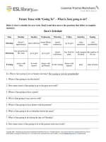 Future Tense with  Going to   Grammar Practice Worksheets