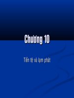 Lý thuyết tài chính tiền tệ chương 10