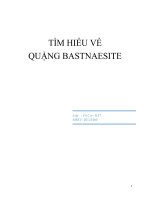 Các phương pháp xử lý quặng bastnaesite