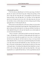 Một số biện pháp đẩy mạnh hoạt động nhập khẩu của công ty xuất nhập khẩu và kỹ thuật bao bì   packexport 