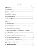 Một số biện pháp chỉ đạo nâng cao chất lượng phát triển ngôn ngữ cho trẻ 5  6 tuổi ở trường mầm non krông ANa 