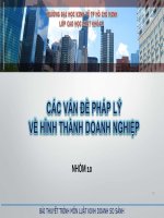 Các vấn đề pháp lý về hình thành doanh nghiệp
