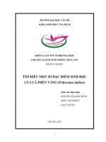 Tìm hiểu một số đặc điểm sinh học của cá phèn vàng (polynemus dubius)