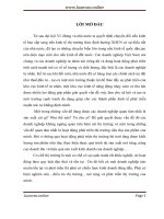 Một số giải pháp nhằm phát triển thị trường tiêu thụ sản phẩm của công ty TNHH sản xuất, thương mại  dich vụ đức việt 