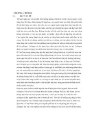 Đề tài nghiên cứu quy trình tách chiết nhằm thu nhận collagen ứng dụng trong công nghệ thực phẩm