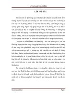 Những giải pháp hoàn thiện hệ thống mạng lưới bán hàng sản phẩm của công ty TNHH việt thắng 