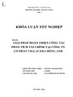 GIẢI PHÁP HOÀN THIỆN CÔNG TÁC PHÂN TÍCH TÀI CHÍNH TẠI CÔNG TY CỔ PHẦN VIGLACERA ĐÔNG ANH