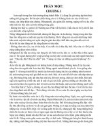 Truyện tiểu thuyết: ruồi trâu