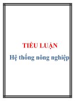 Tiêu luận hệ thống nông nghiệp 