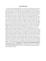 Nghiên cứu và vận dụng các hình thức tiền thưởng và phúc lợi tại Công ty may Việt Tiến