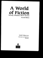 A world of fiction  Twenty timeless short stories