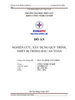 Nghiên cứu, xây dựng quy trình, thiết bị trồng rau an toàn