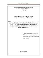 THỊ TRƯỜNG cà PHÊ THẾ GIỚI và các GIẢI PHÁP NHẰM NÂNG CAO HIỆU QUẢ KINH DOANH XUẤT KHẨU cà PHÊ tại CÔNG TY sản XUẤT và XUẤT KHẨU PROSIMEX 