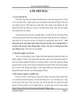 Giải pháp phát triển hoạt động kinh doanh lữ hành nội địa của xí nghiệp đầu tư và phát triển du lịch sông hồng thuộc công ty du lịch và thương mại tổng hợp thăng long 