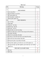 Một số biện pháp năng cao chất lượng giáo dục âm nhạc trong đời sống hằng ngày đối với trẻ 5 – 6 tuổi ở trường mầm non sơn ca 