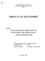 TĂNG CƯỜNG HUY ĐỘNG VỐN TẠI NGÂN HÀNG THƯƠNG MẠI CỔ PHẦN ĐÔNG NAM Á SỞ GIAO DỊCH HÀ NỘI
