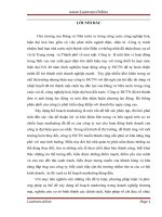 Xây dựng kế hoạch marketing cho công ty trách nhiệm hữu hạn nhà nước một thành viên điện cơ thống nhất (VINAWIND) 