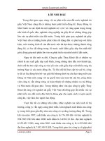 Thực trạng và giải pháp cho hoạt động xuất khẩu giầy dép của công ty giầy thuỵ khuê 