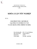 GIẢI PHÁP TĂNG LỢI NHUẬN TẠI CÔNG TY CỔ PHẦN TƯ VẤN VÀ XÂY DỰNG CÔNG TRÌNH VĂN HÓA