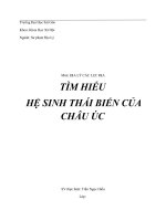 Hệ sinh thái biển châu úc Rạn san hô Great Barrier