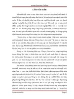 Tình hình đầu tư nâng cao khả năng cạnh tranh của công ty cao su sao vàng 