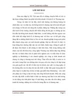 Hoàn thiện phối thức marketing – mix tại xí nghiệp thương mại thuộc công ty dịch vụ hàng không sân bay nội bài 