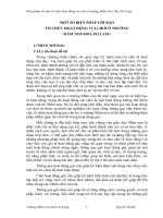 skkn một số biện pháp chỉ đạo tổ chức hoạt động vui chơi trong trường mầm non hoa pơ lang 