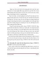 Các biện pháp đẩy mạnh tiêu thụ hàng hoá tại công ty TNHH úc đại lợi 