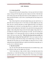 Phát triển thị trường tiêu thụ sản phẩm của chi nhánh công ty lelong việt nam tại hà nội 