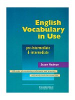 English Vocabulary In Use PreIntermediate