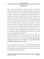 Hoàn thiện quyết định marketing sản phẩm nông sản xuất khẩu của công ty xuất nhập khẩu INTIMEX sang thị trường các nước ASEAN 