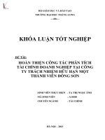 HOÀN THIỆN CÔNG TÁC PHÂN TÍCH TÀI CHÍNH DOANH NGHIỆP TẠI CÔNG TY TRÁCH NHIỆM HỮU HẠN MỘT THÀNH VIÊN ĐÔNG SƠN