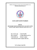 skkn một số biện pháp chỉ đạo nâng cao chất lượng chuyên môn trong trường mầm non  ea na 