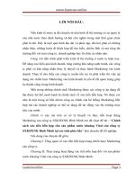 Chính sách xúc tiến hỗn hợp cho sản phẩm nước khoáng vital của công ty SXKDXNK bình minh tại các tỉnh phía bắc 