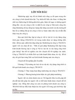 Một số giải pháp marketing hỗn hợp trong kinh doanh thương mại ở công ty vật tư vận tải và xây dựng công trình giao thông 