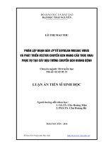Phân lập đoạn gen CP từ soybean mosaic virus và phát triển vector chuyển gen mang cấu trúc RNAi phục vụ tạo cây chuyển gen kháng bệnh
