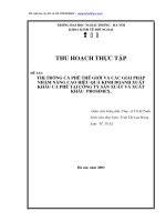THỊ TRƯỜNG CÀ PHÊ THẾ GIỚI VÀ CÁC GIẢI PHÁP NHẰM NÂNG CAO HIỆU QUẢ KINH DOANH XUẤT KHẨU CÀ PHÊ TẠI TỔNG CÔNG TI SẢN XUẤT VÀ XUẤT KHẨU PROSIMEX