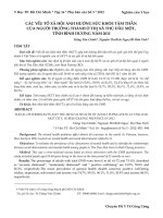 CÁC yếu tố xã hội ẢNH HƯỞNG sức KHỎE tâm THẦN của NGƯỜI TRƯỞNG THÀNH ở THỊ xã THỦ dầu một, TỈNH BÌNH DƯƠNG năm 2011 