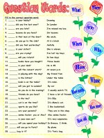 question words1
