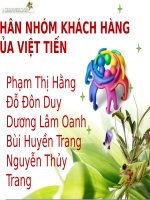 Thuyết trình môn marketing quốc tế phân nhóm khách hàng của việt tiến 