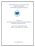 Tiểu luận nghiệp vụ ngân hàng thương mại phát triển hoạt động tín dụng và thẩm định tín dụng tại ngân hàng thương mại việt nam 