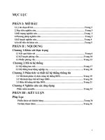 PHÂN TÍCH VÀ THIẾT KẾ HỆ THỐNG THÔNG TIN QUẢN LÝ BÁN HÀNG ĐIỆN MÁY CỦA SIÊU THỊ   NGUYỄN KIM TẠI SỐ 79B ĐƯỜNG LÝ THƯỜNG KIỆT ,  QUẬN TÂN BÌNH