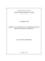 NGHIÊN cứu QUY TRÌNH sản XUẤT γ AMINOBUTYRIC AXIT từ DỊCH cám gạo BẰNG LACTOBACILLUS