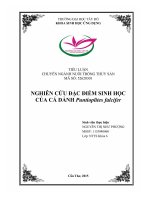 Nghiên cứu đặc điểm sinh học của cá dảnh puntioplites falcifer (h m smith,1929)  