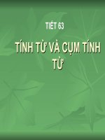 Tính từ và cụm tính từ lớp 6 ngữ văn
